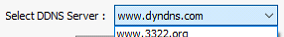 1. Select DDNS Server